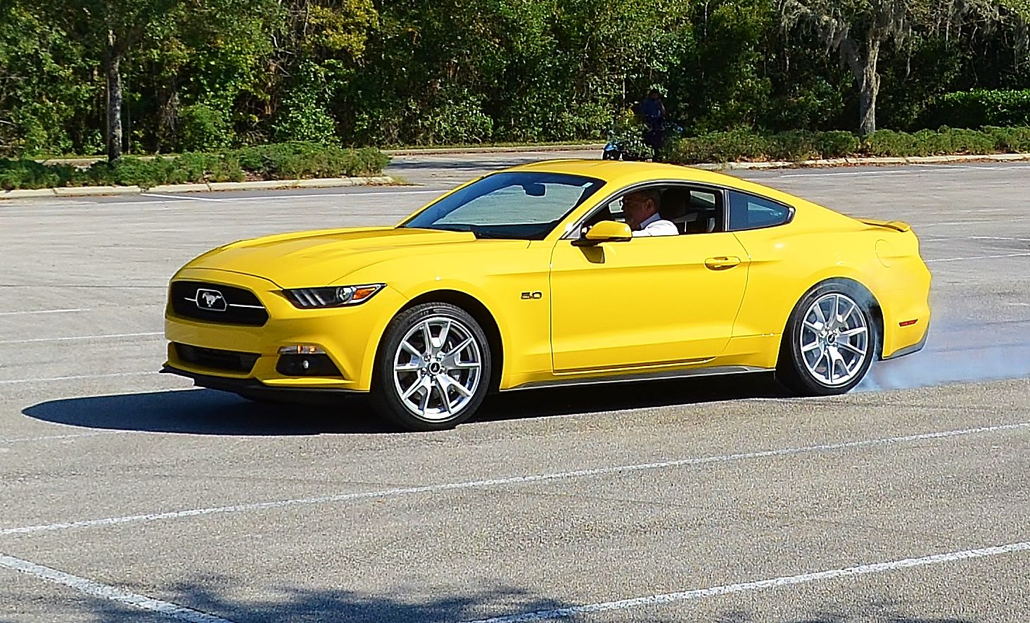 ‘15 FORD MUSTANG 5.0 SIXTHGEN ROAD WARRIOR! Automotive Education