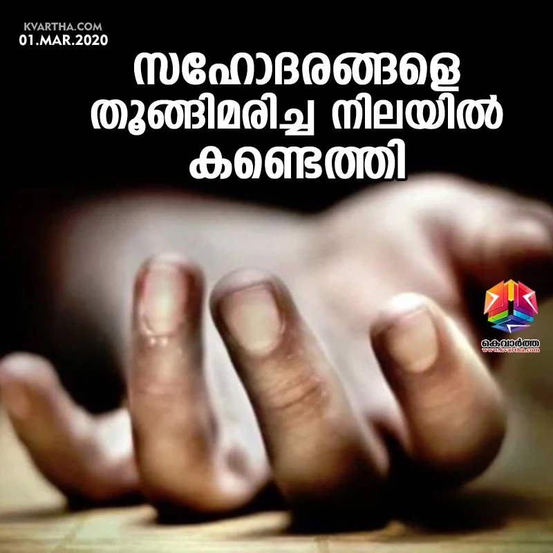 Alappuzha, News, Kerala, Brother, Suicide, Death, Police, House, Sister, Investigation, Brother and sister found dead in cherthala