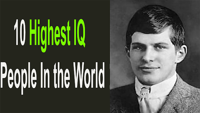 Top 10 Highest Iq People In The World Jamal S