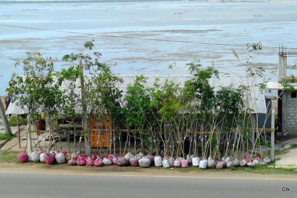 DSCF2876.JPG