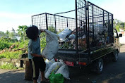 Atasi Sampah, Pemdes Meninting Beli Angkutan Sampah Desa
