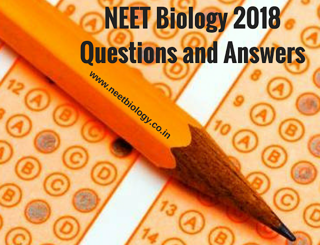 NEET Questions Biology 2018