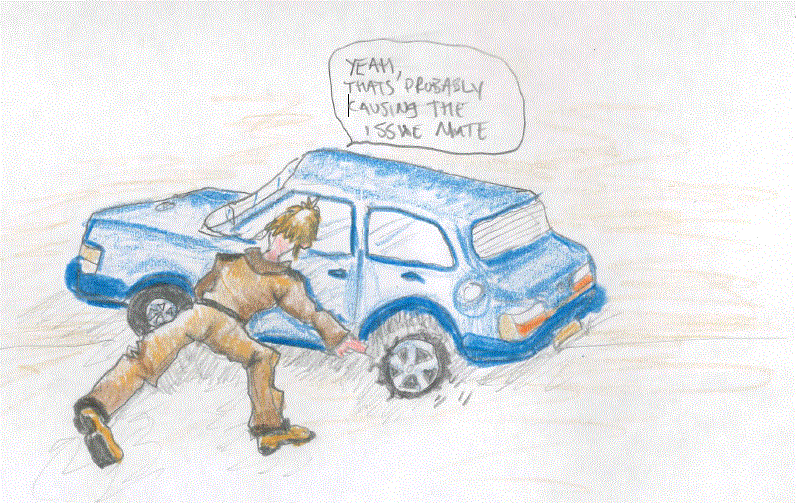 WRITES Trying to Understand Cars