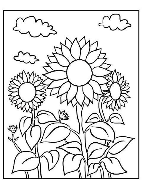 20 Gambar Sketsa Bunga Matahari untuk Mewarnai Sederhana