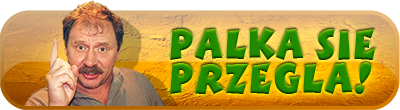 17.png