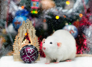 Gorgeous Christmas card for the year of the mouse and the rat 2026. Free, beautiful live Christmas cards in the year of mouse
