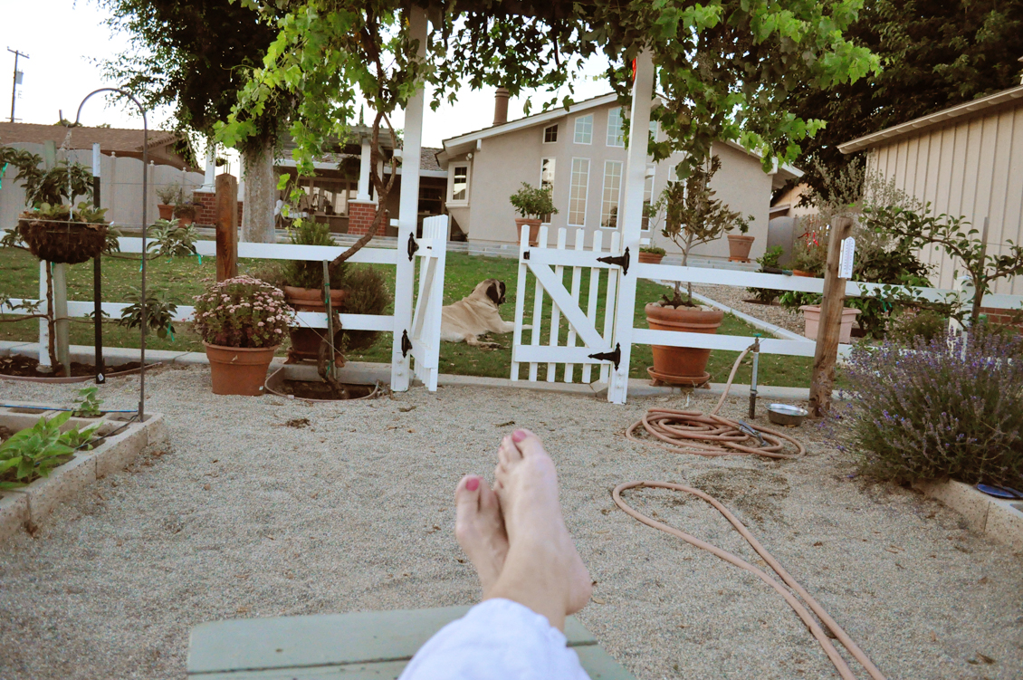 Backyard Farming: Your Backyard Farm Backyard Farming: Your Backyard Farm on Farmhouse Backyard Patio id=60879