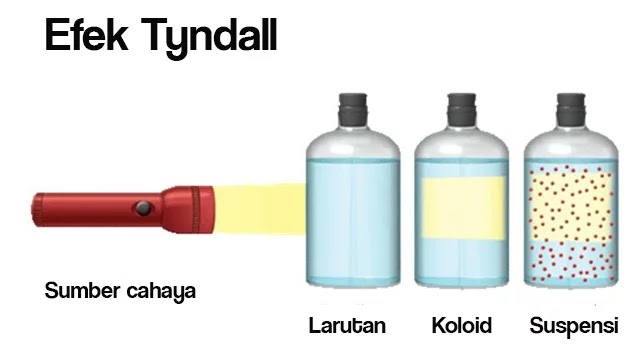 Sifat Sifat Koloid Efek Tyndal Gerak Brown Adsorbsi Koagulasi Elektroforesis Dan Dialisis Masyog Com