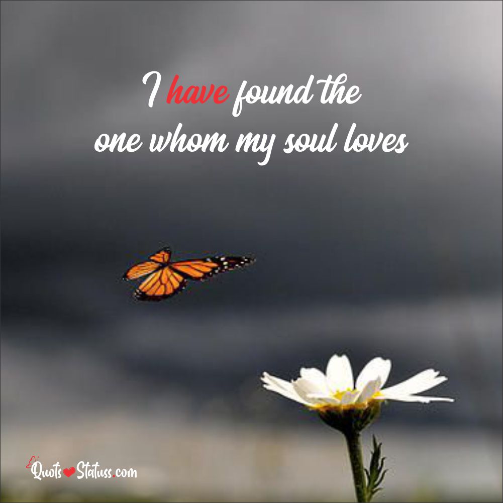 Love Quotes For Him Love-Quotes-For-Him