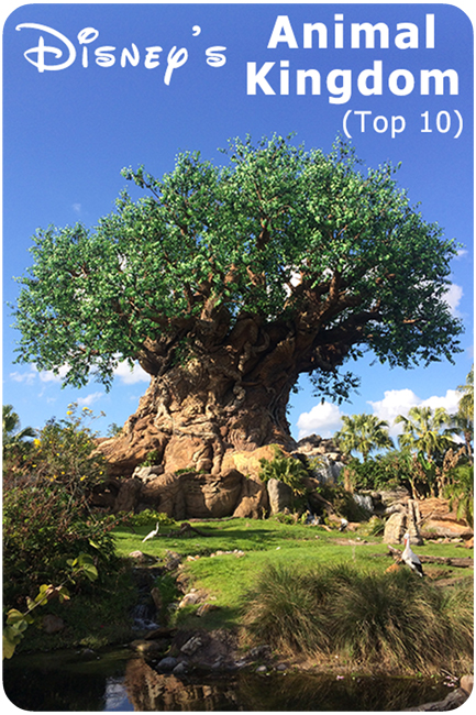 Magic Kingdom Top 10 Disney World