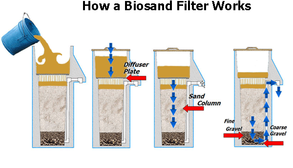 biological-filter.jpg biological-filter.jpg