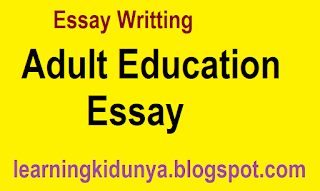Adult Education Essay