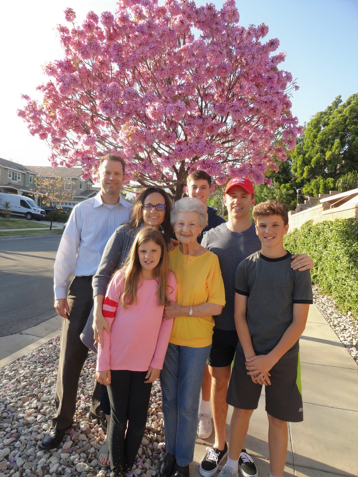 The Daily Lewis April 2019