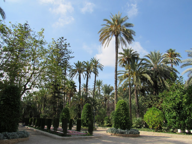 Oasis en Elche