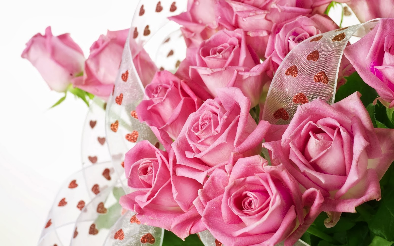 Lovely Flowers HD Wallpapers - Wallpapers