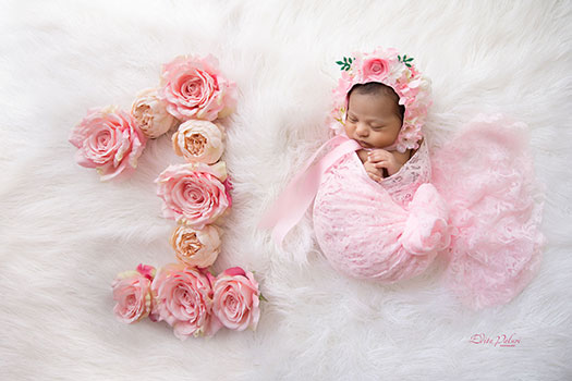 Photography diary: 1 month baby girl mini session - 12 month baby project