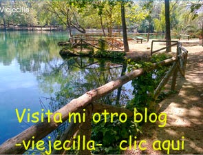 Mi otro blog