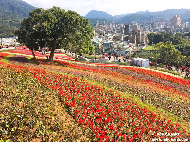 北投社三層崎公園花海