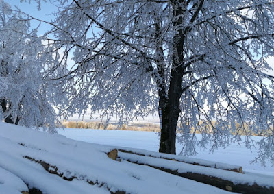 Valentinstag 2021 - Schnee und Sonne im Frankenwald