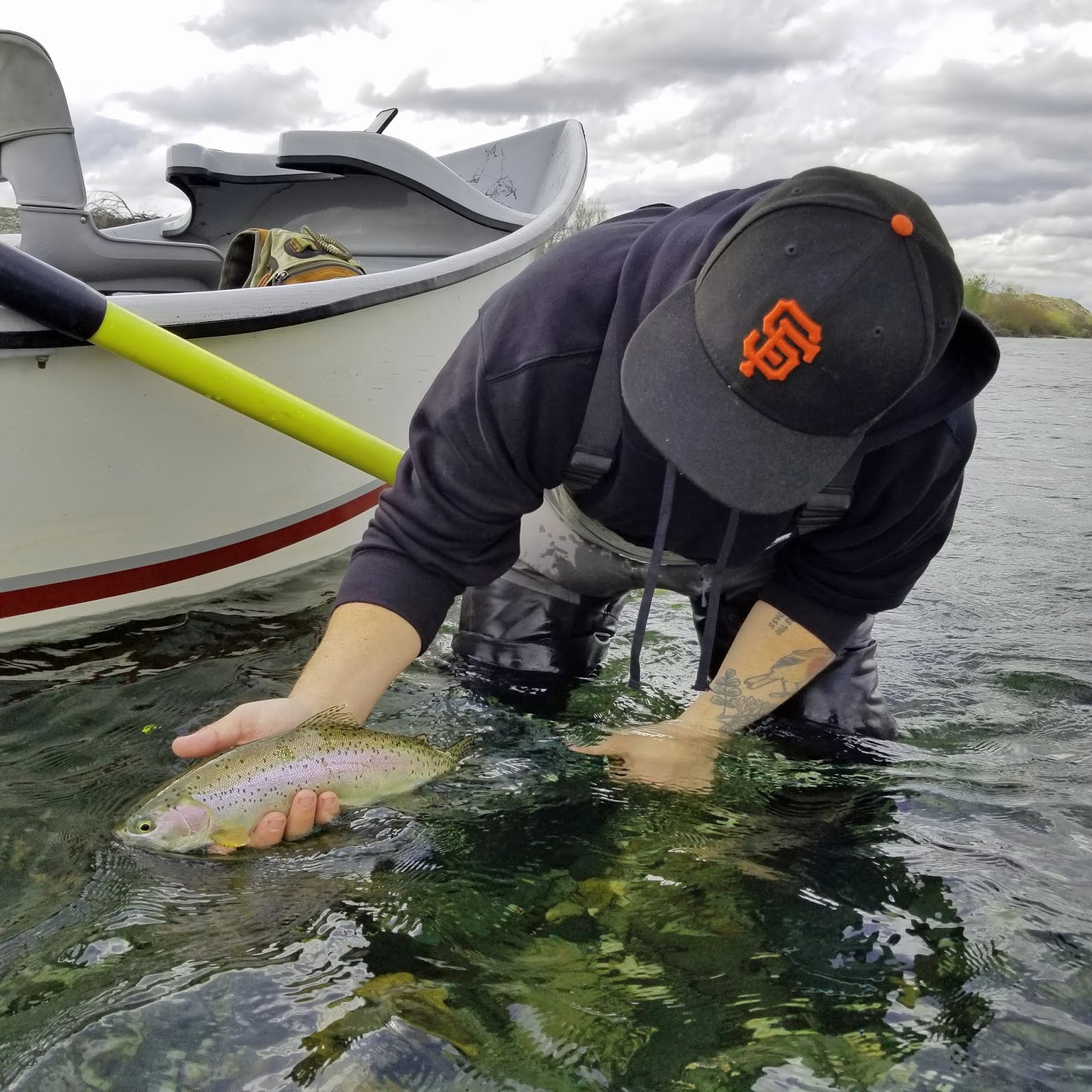 Jon Baiocchi Fly Fishing News Lower Yuba River Fly Fishing Report 3