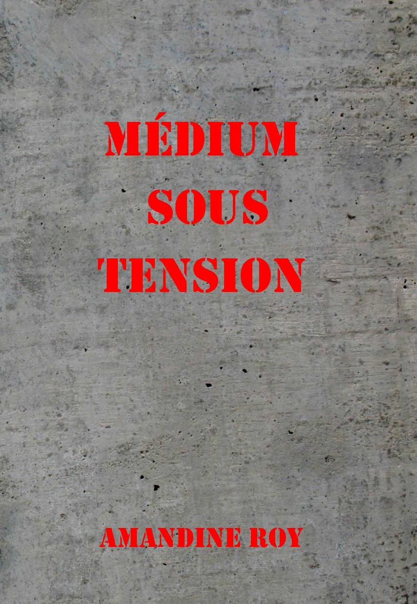 amandine roy medium