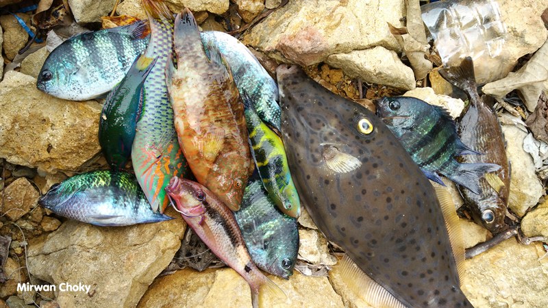 Pantai Lhok Mata Ie Aceh, Spot Nyaman Untuk Mancing & Renang