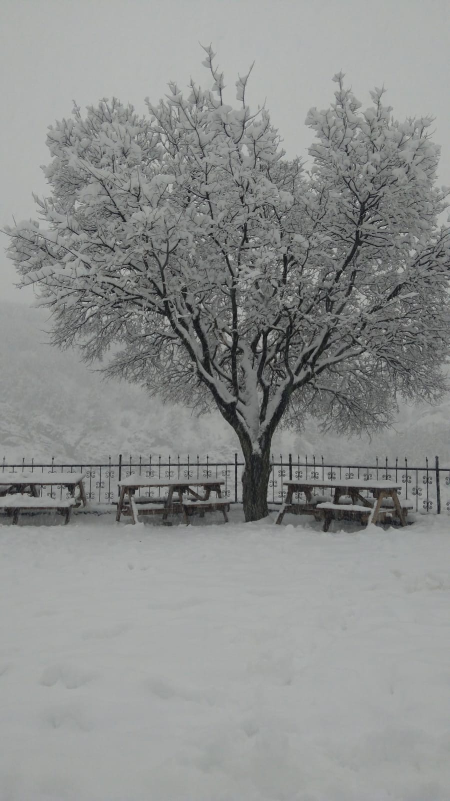 Mudurnu Kar Manzaraları