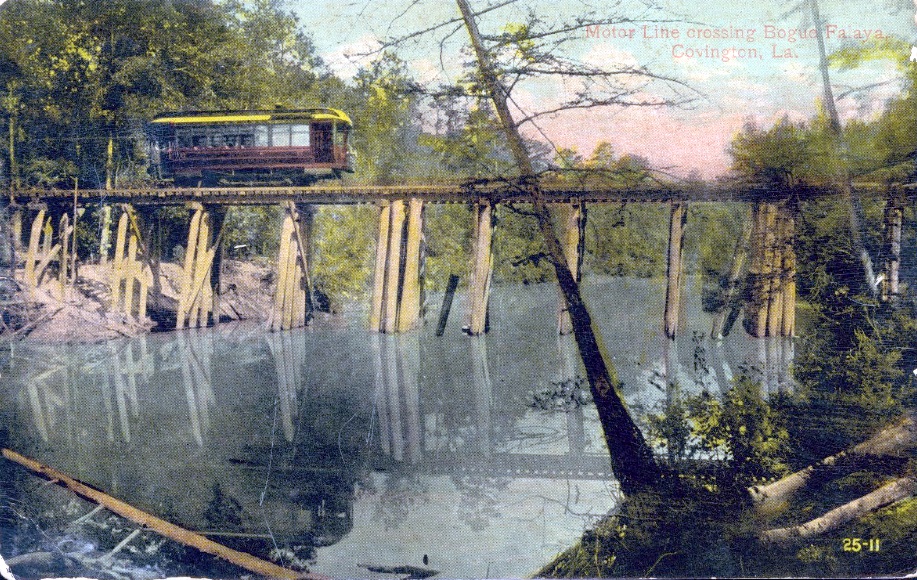 Tammany Family Louisiana Encyclopedia 1909 Covington