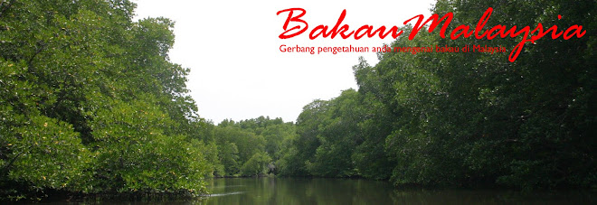 BakauMalaysia