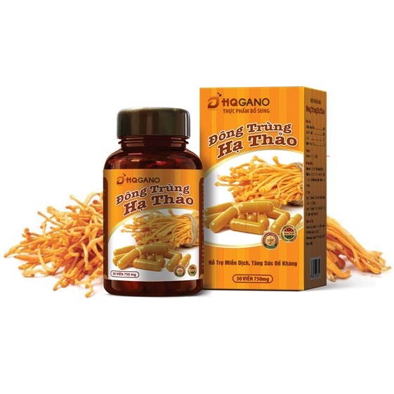 ĐÔNG TRÙNG HẠ THẢO VIÊN NANG – HQGANO