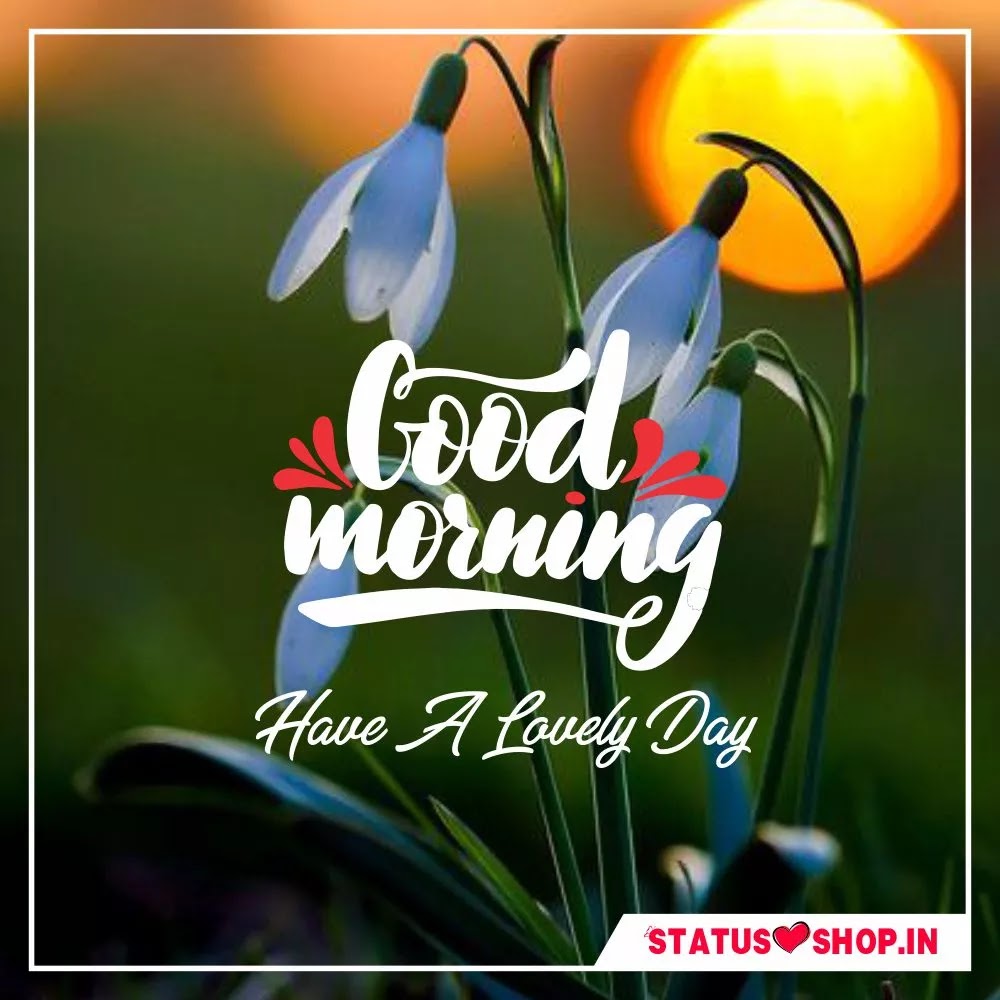 Good Morning Good-Morning