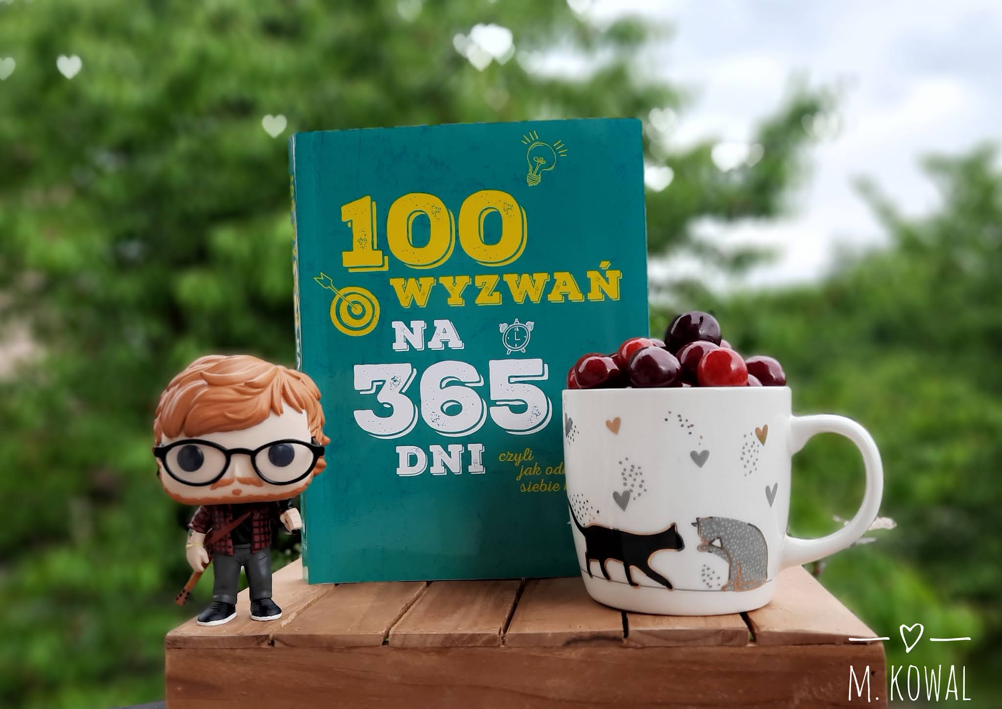 książka 100 wyzwań na 365 dni, czyli jak odkryć siebie na nowo?