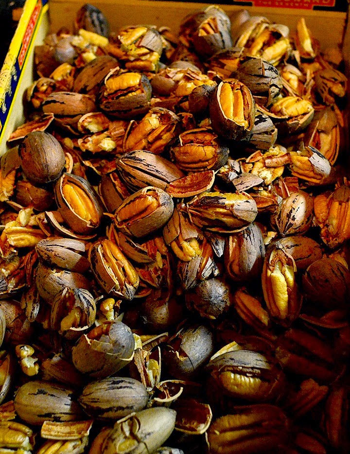 Kracker The Electric Pecan Cracker The Nut Cracker Guy