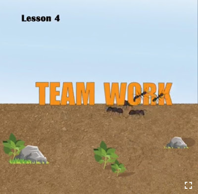 6 Lessons you can learn from an Ant 