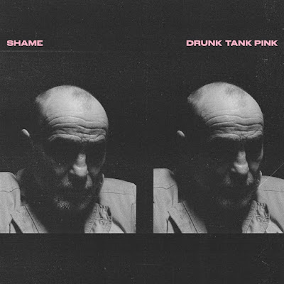 Drunk Tank Pink Shame Album