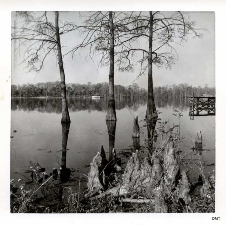 online manual del montador y soldador de