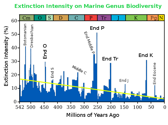 How mankind is driving the next mass extinction event essay picture