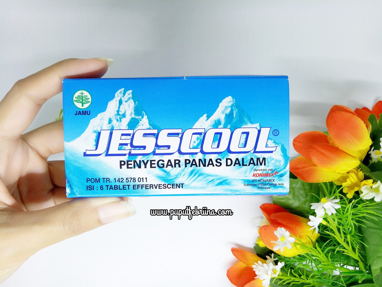 Segarkan Panas Dalam Dengan Jesscool