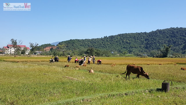 Tham quan làng M'nong trên hồ Lak