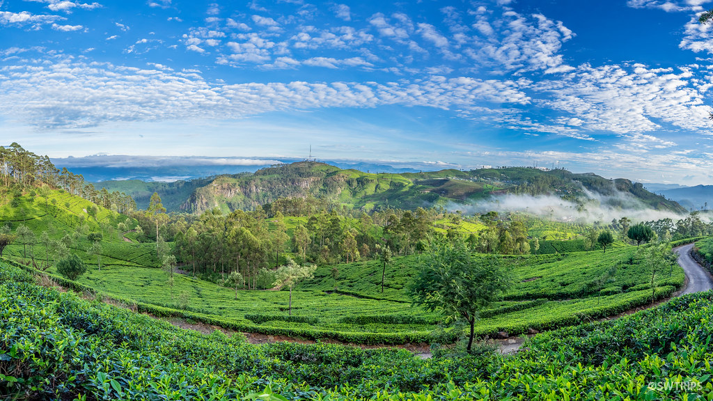 The Travel Guider Sri Lanka Lipton’s SeatHaputale