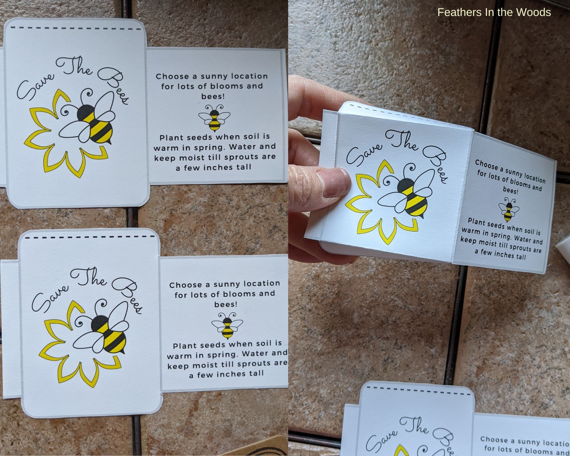 Printable Seed Packet Envelopes