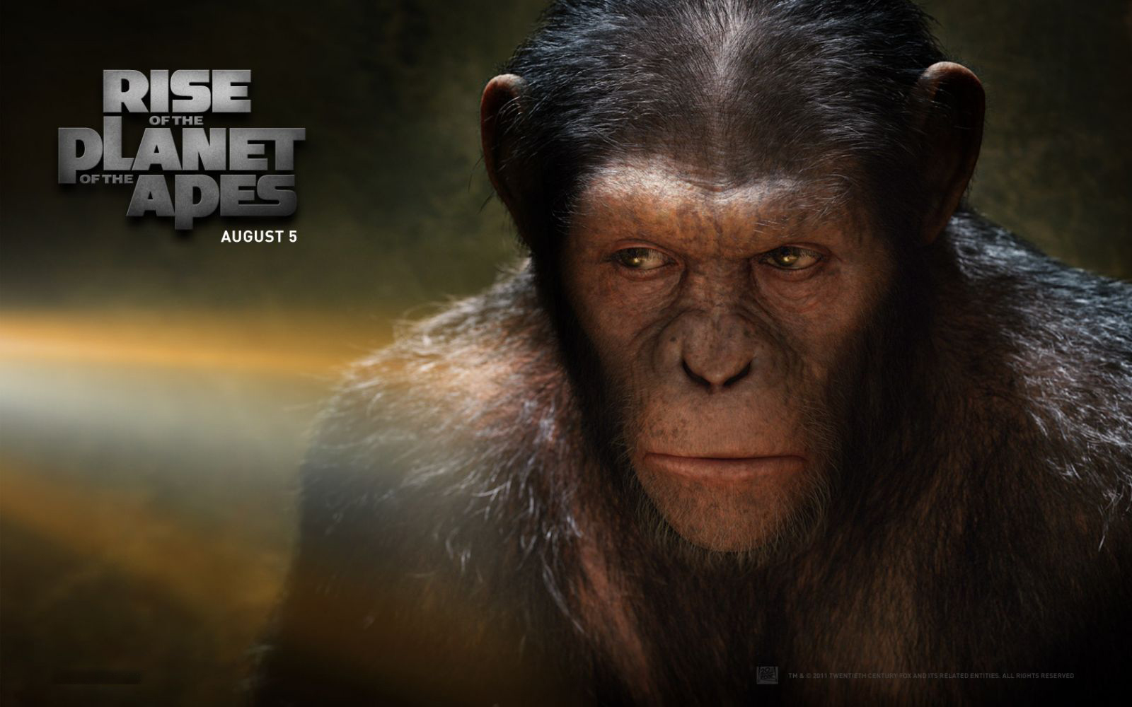 Free Download Rise of the Planet of the Apes Wallpapers PPT Garden Free Download Rise of the Planet of the Apes Wallpapers PPT Garden