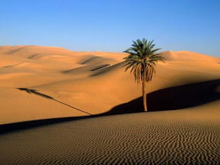 The desert is a dream