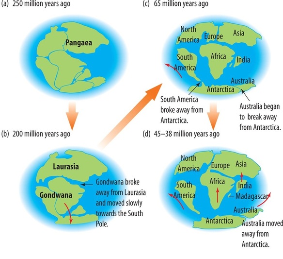 Jelaskan proses pembentukan permukaan bumi menurut teori apungan benua?