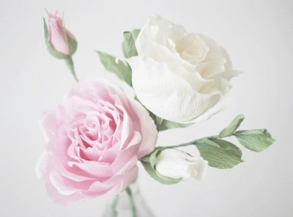 two realistic pink and white crepe paper roses with pink rosebud