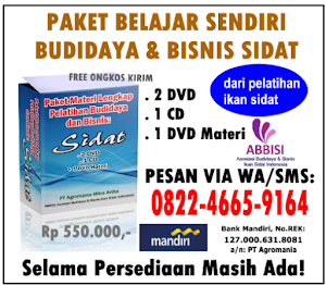 Paket Materi Belajar Sendiri Budidaya & Bisnis Ikan Sidat