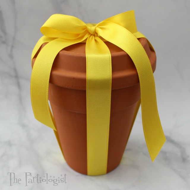 The Partiologist Clay Pot Cookie Gift!