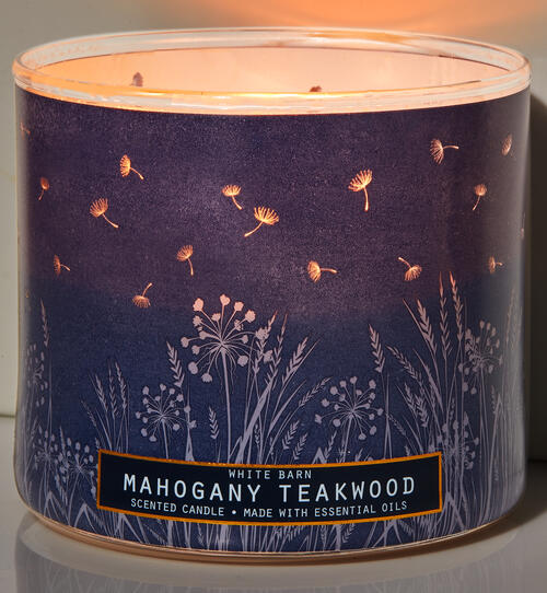 Life Inside the Page Bath & Body Works New Fall 'Warm