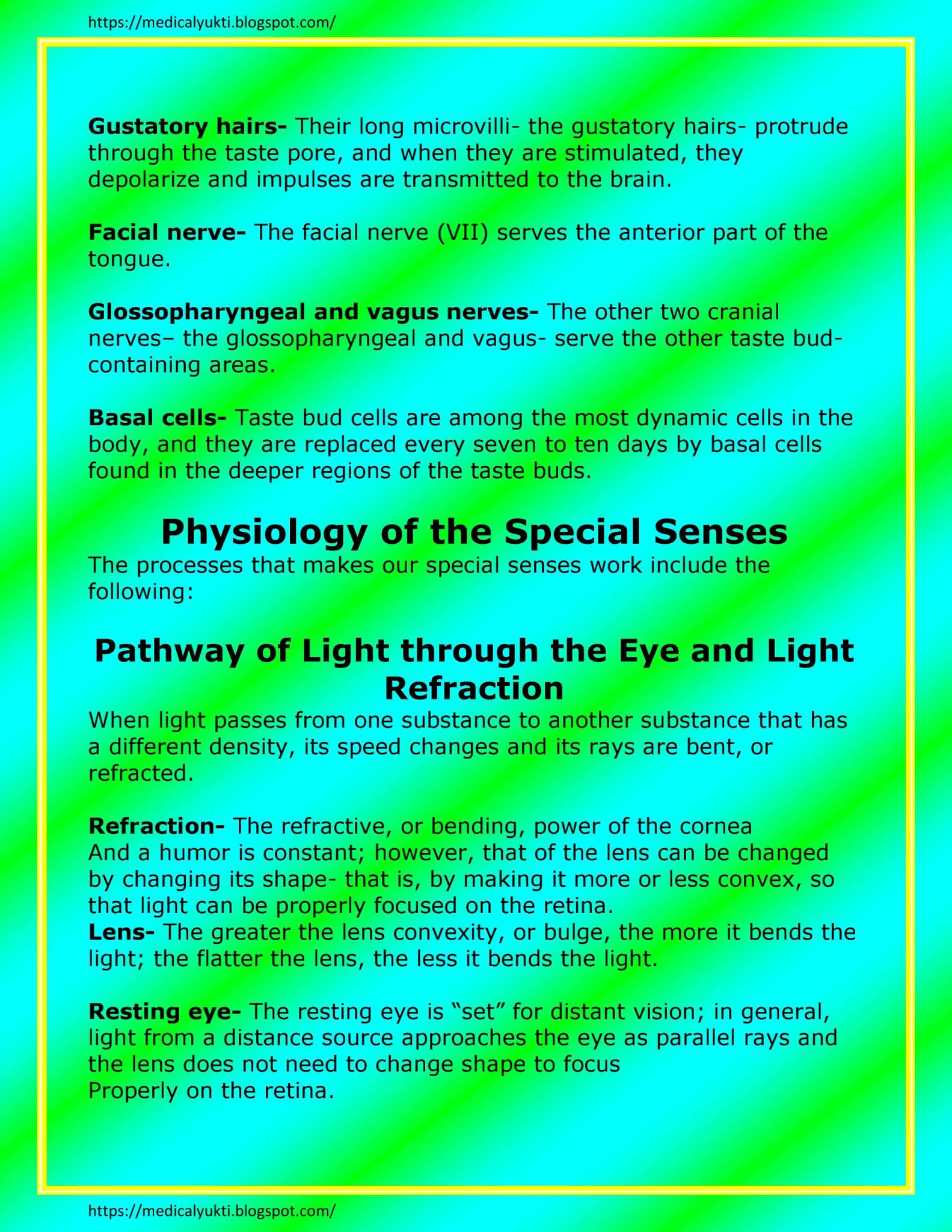 Special Senses Anatomy Physiology Medical Yukti