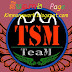  TSM Team V4 REMIX